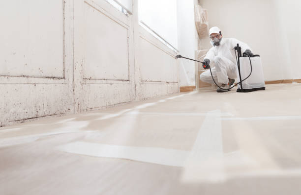 24/7 Emergency Mold Cleanup experts in Concord, NC