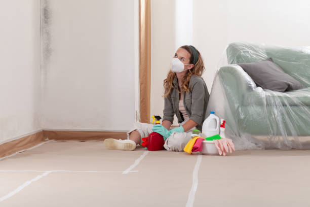 Reliable Mold Cleanup contractor in Concord, NC by Cheap Mold Removal
